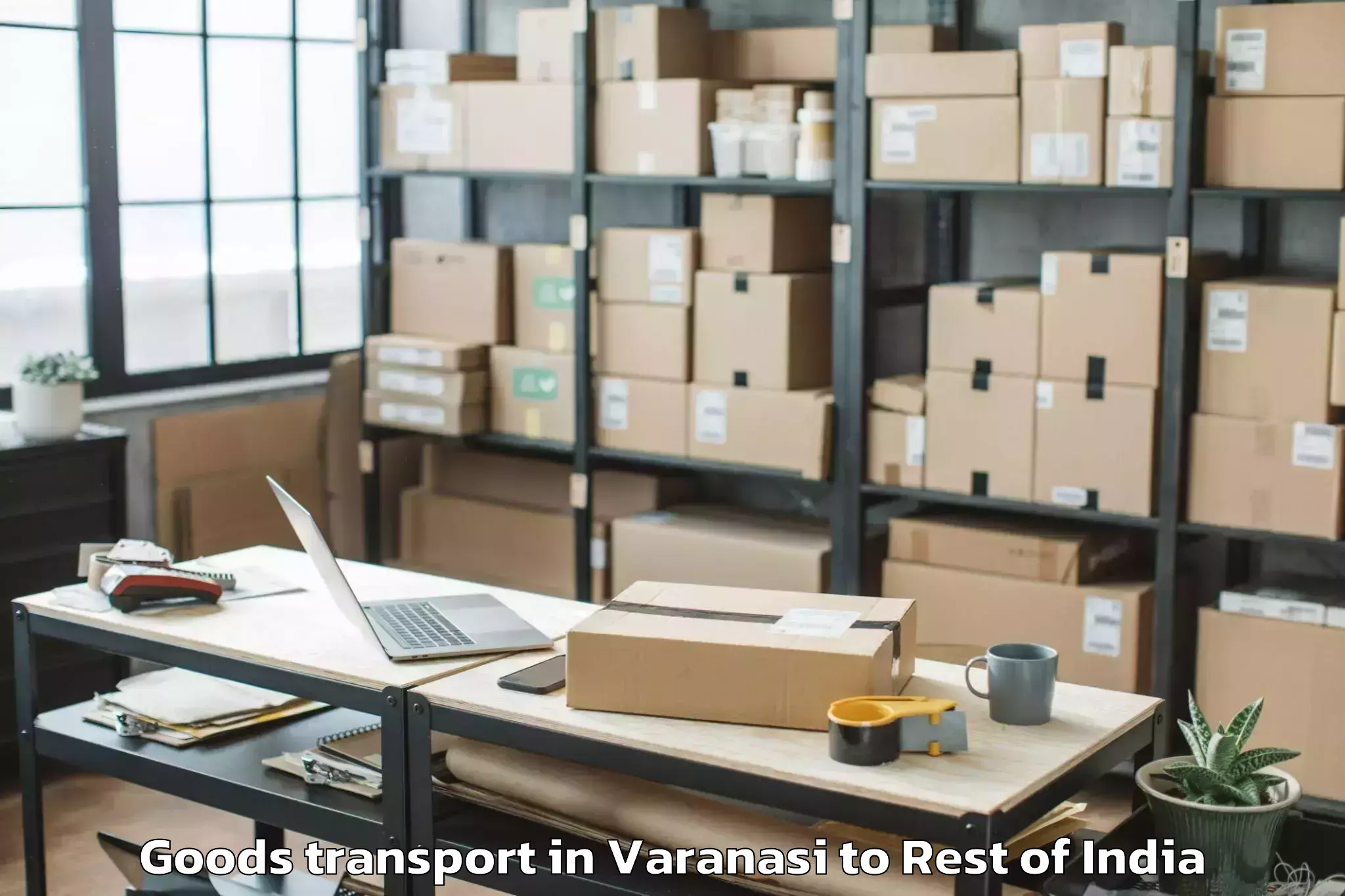 Expert Varanasi to University Of Jammu Jammu Goods Transport